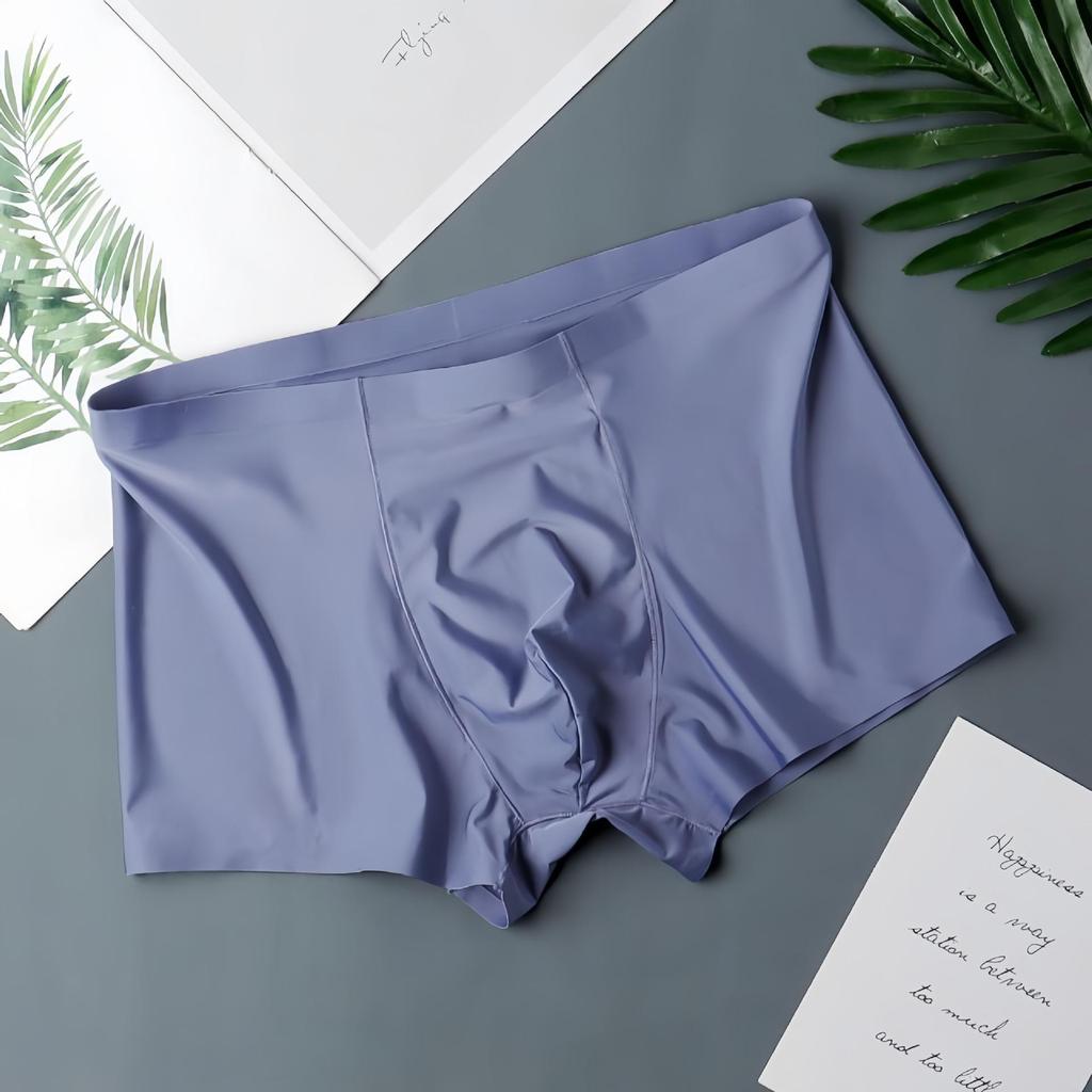 Men's Seamless Ice Silk Boxer Briefs - Summer Youth Collection