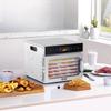 6 Trays Food Dehydrator Machine Stainless Steel 400W Jerky Fruit Drying