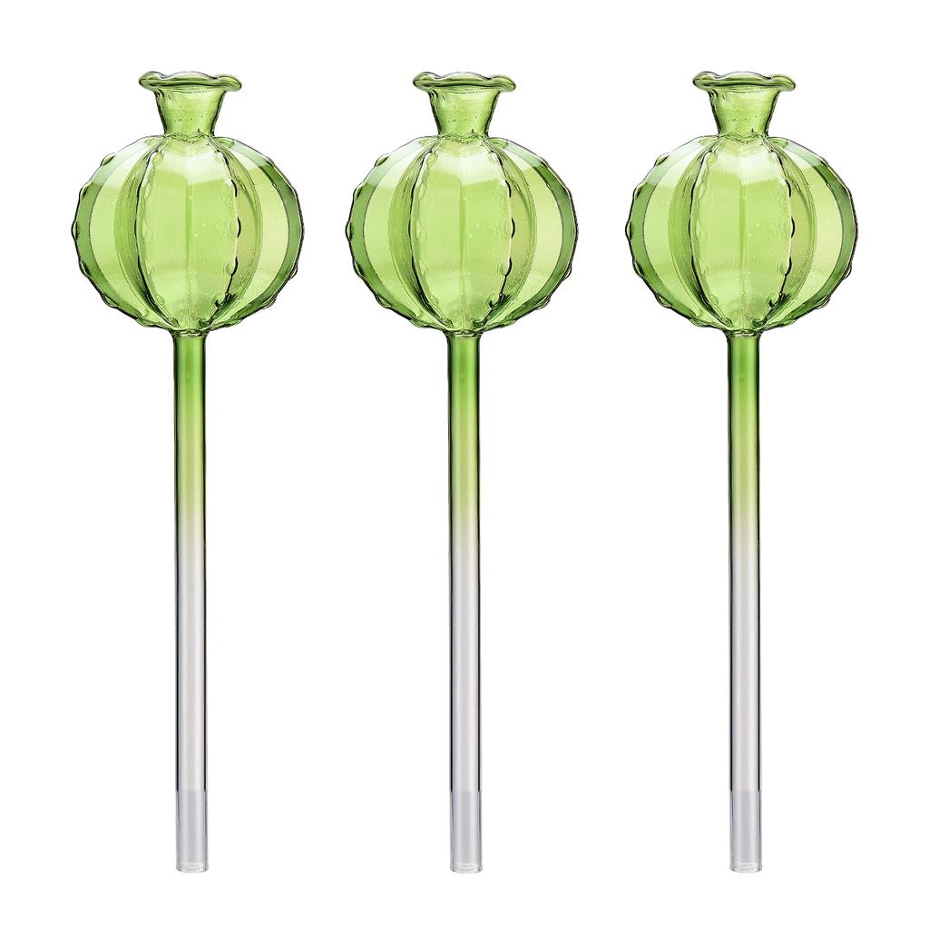 3pcs Ball Shape Automatic Watering Globe Self Drip Irrigation Plant Watering Bulb Glass Material 250ml for Indoor