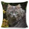 Funny Cute Cat Cushion Cover Decor Lovely Pet Animal Print Pillowcase Polyester Throw  Pillow Case for Sofa Home Car 45x45cm