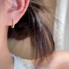 Fresh and sweet blue crystal zircon stud earrings for women's new temperament earrings niche design high-end exquisite ear buckles