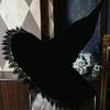 Fashion Costume Hat Witchcap Black Hat Halloween Party Hat Musical Festival Hat