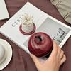 Light Luxury Advanced Creative Apple Ceramic Toothpick Storage Jar Personality Living Room High Appearance Decorative Ornament