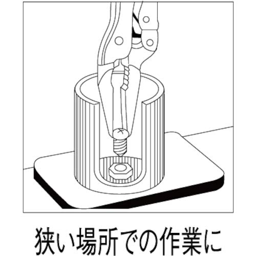 Lobtex (Ebi) Vice Pliers VL-150