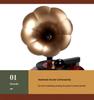 Octave Retro Gramophone Music Box: Vintage Wind-up Display Gift for Girls' Birthday & New Year