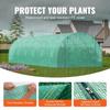Walk-in Tunnel Greenhouse 29.2x9.7x6.5ft Galvanized Frame PE Cover Green