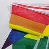 Rainbow Pennant String for Kindergarten, Birthday & Juneteenth Decorations