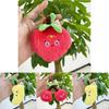 Adorable Plush Fruit Toy Collection Including Watermelon Apple And Strawberry Doll Keychain