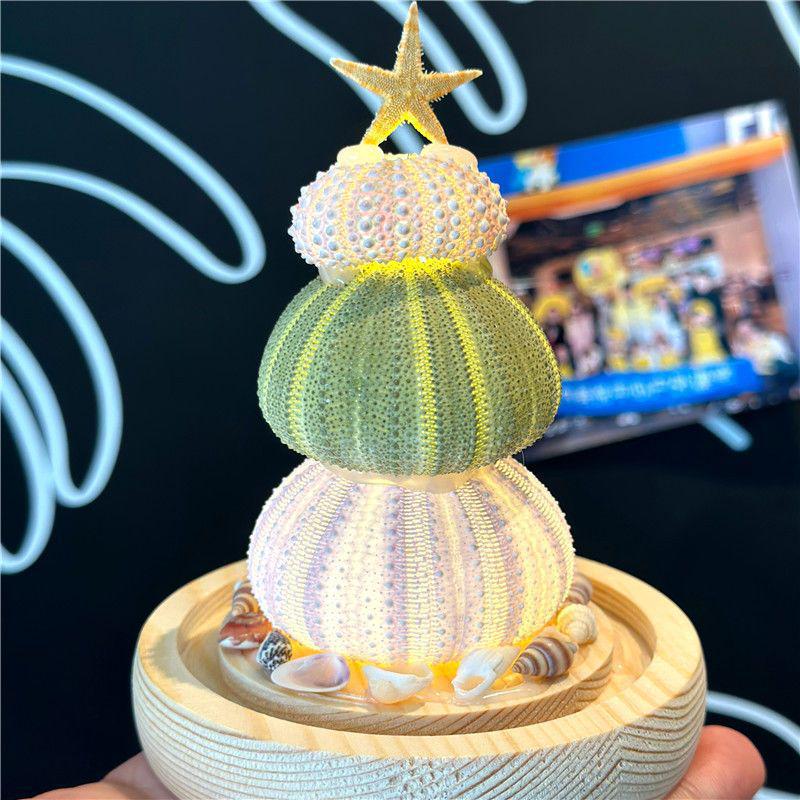 DIY Luminous Sea Urchin Night Light Kit - Birthday Gift for Girlfriend