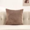 Plush Velvet Pillow Cover Premium Teddy Fleece Sofa Cushion Case Office Nap Pillow Seat Back Support Home Decor Throw Pillowcase