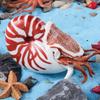 Ancient Marine Animal Ammonite Simulation Set: Educational Gifts for Kids