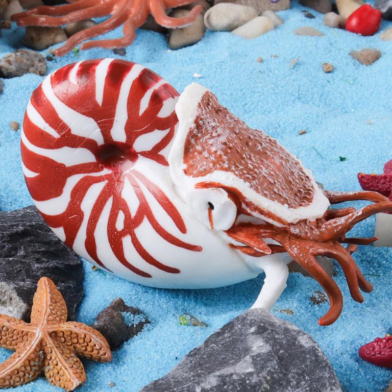 Ancient Marine Animal Ammonite Simulation Set: Educational Gifts for Kids