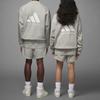 Adidas Originals Sweatshirts Unisex Gray Crew Neck Moderate Regular IA3435-