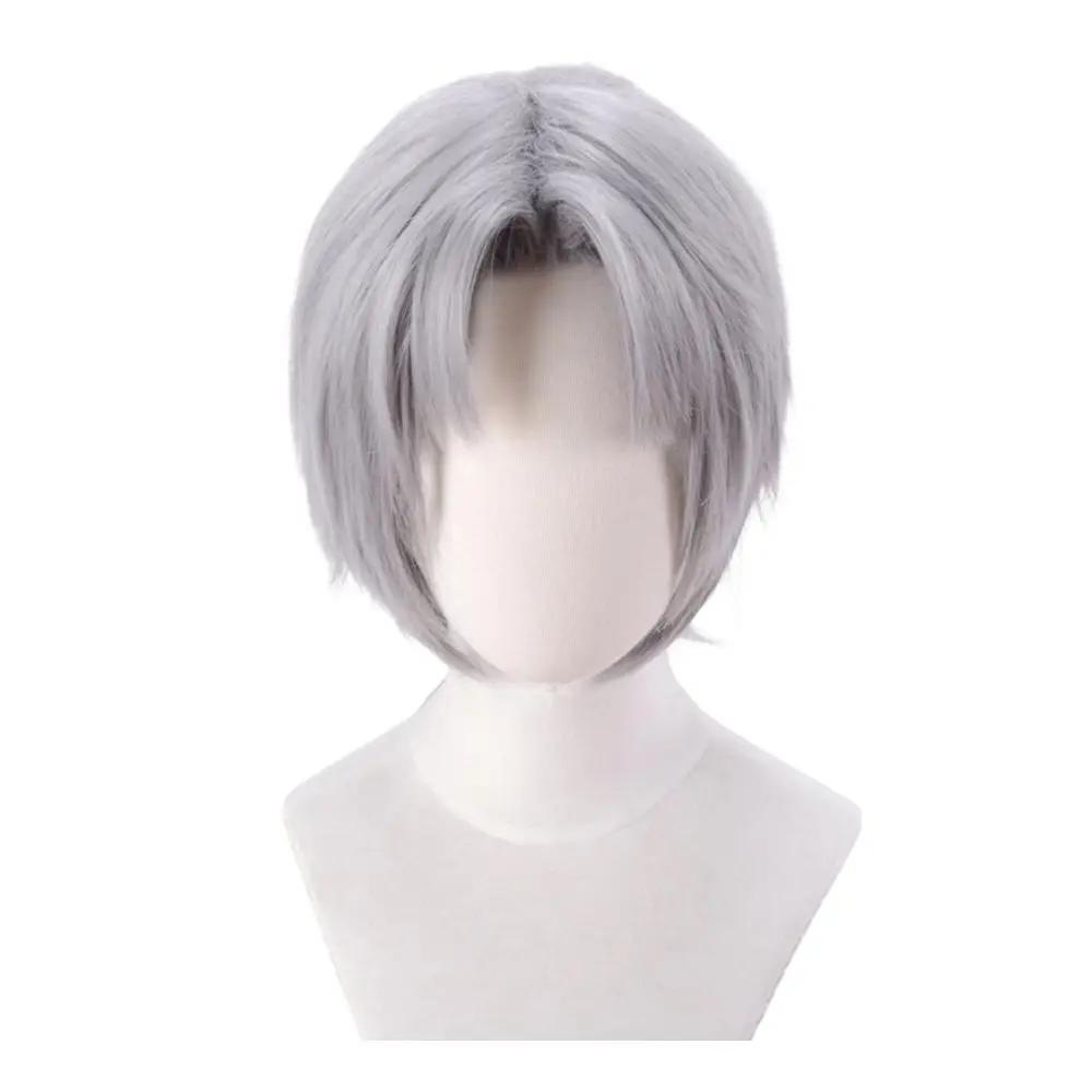 Dante Cosplay Perücke DMC 5 Anime Kostüm Requisiten Verkleidung für Herren Silberne Kurze Perücken Rollenspiel Halloween Karneval Kostümzubehör (as the picture,One Size) gray