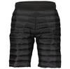Scott Insuloft Tech Shorts