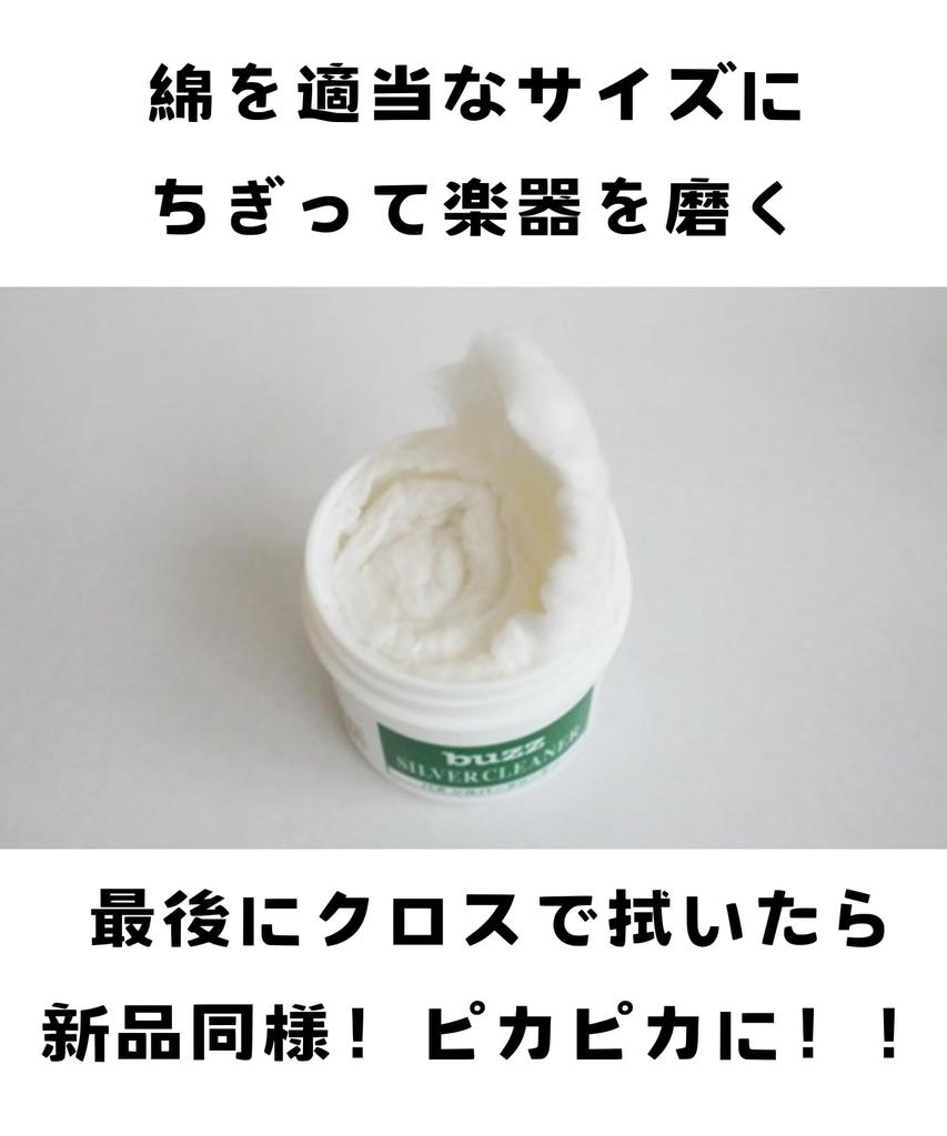 [Set] Buzz Silver Cleaner + Lifmo Storage Bag for Instrument Maintenance and Rust Prevention