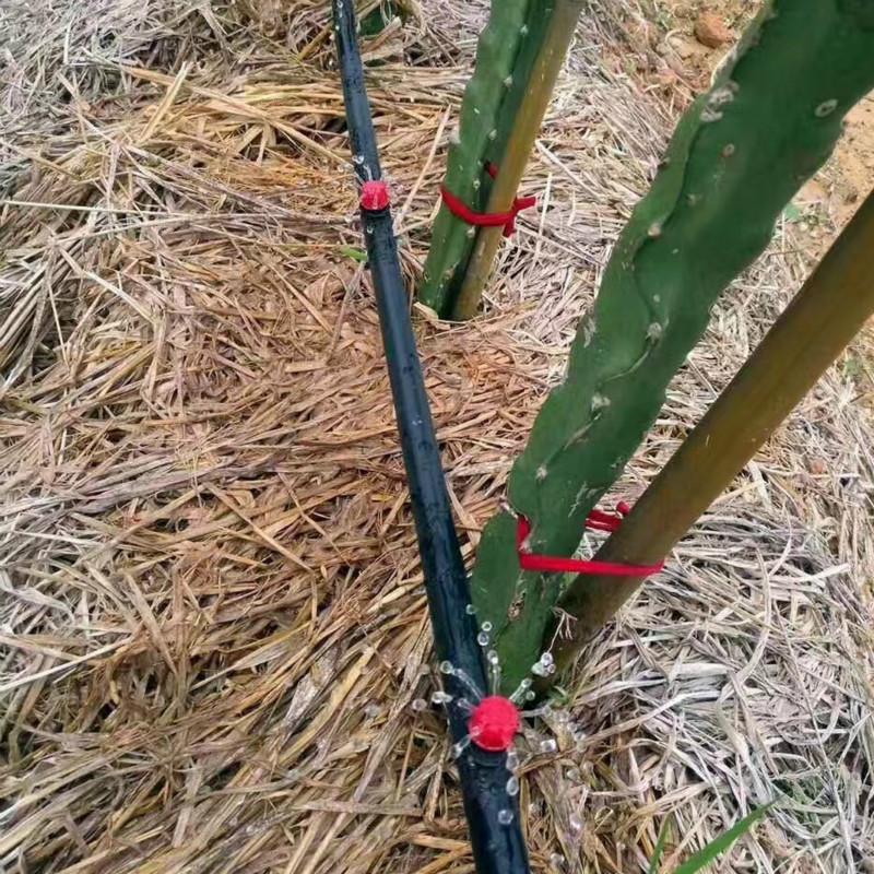 Cheap 25M DIY Garden Micro Drip Irrigation System Hose Kits Plant ...