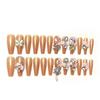 Medium Coffin Press On Nails with Rhinestones Designs Reusable Full Cover Glue On Fake Nails Press Ons Artificial False Nails Stick On Nails for Women