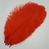 10 Pezzi Piume di Struzzo Colorate per Artigianato Piuma di Struzzo Bianca Grande Decorazione Centrotavola Carnevale Matrimonio Festa Decorazione