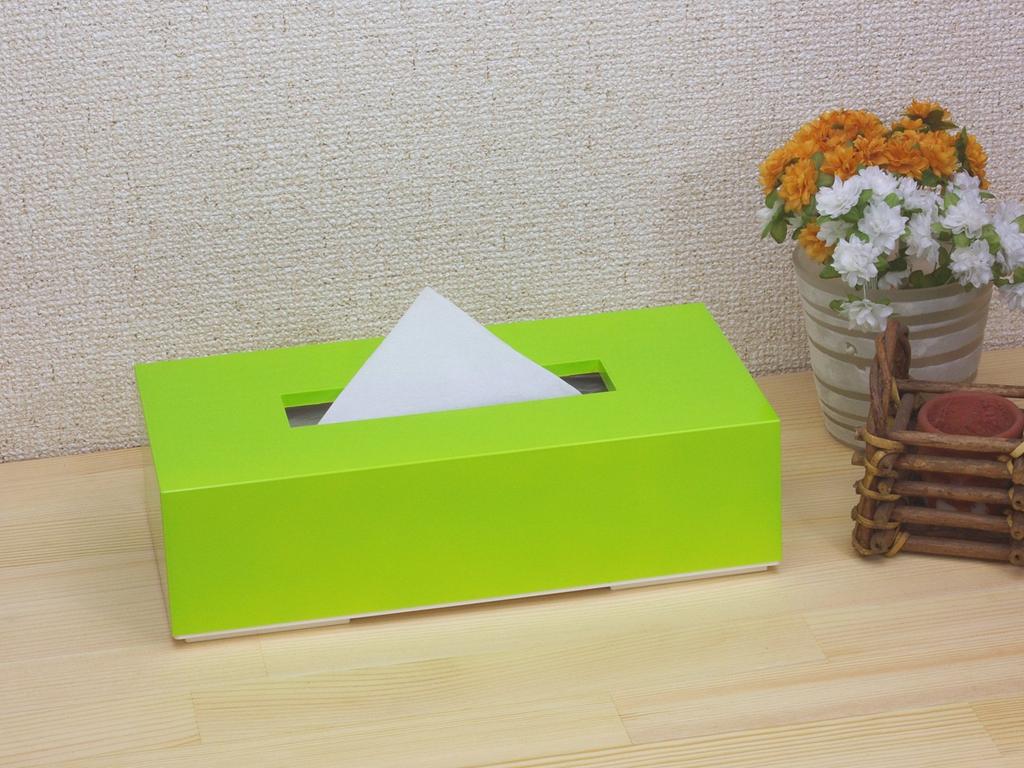 Tatsunosuke Hashimoto Crafts nurimono-zakka Tissue Box, Green