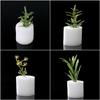 10/50pcs Durable Aquarium Planting Soilless Hydroponic Nursery Sponge Seed Trays Flower Pots