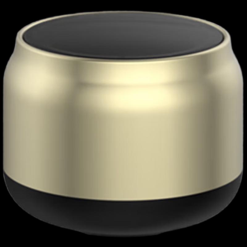 Newmine BT31 Portable Bluetooth Speaker