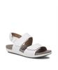 Rockport Ridge Ii Qtr Multi (Cj1371)