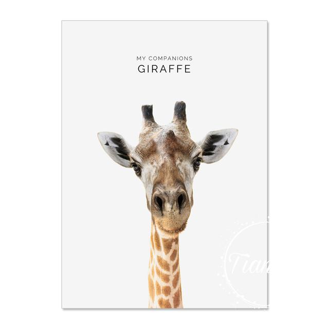 Animal Decoration Sheets Picture Wall Art Poster Children's Canvases Room Paintings For Nursery Decorative Prints Wall Posters No Frame