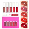 5 Color Liquid Lipstick Waterproof Moisturizing Long Lasting Lip Gloss Tint Matte Lipgloss