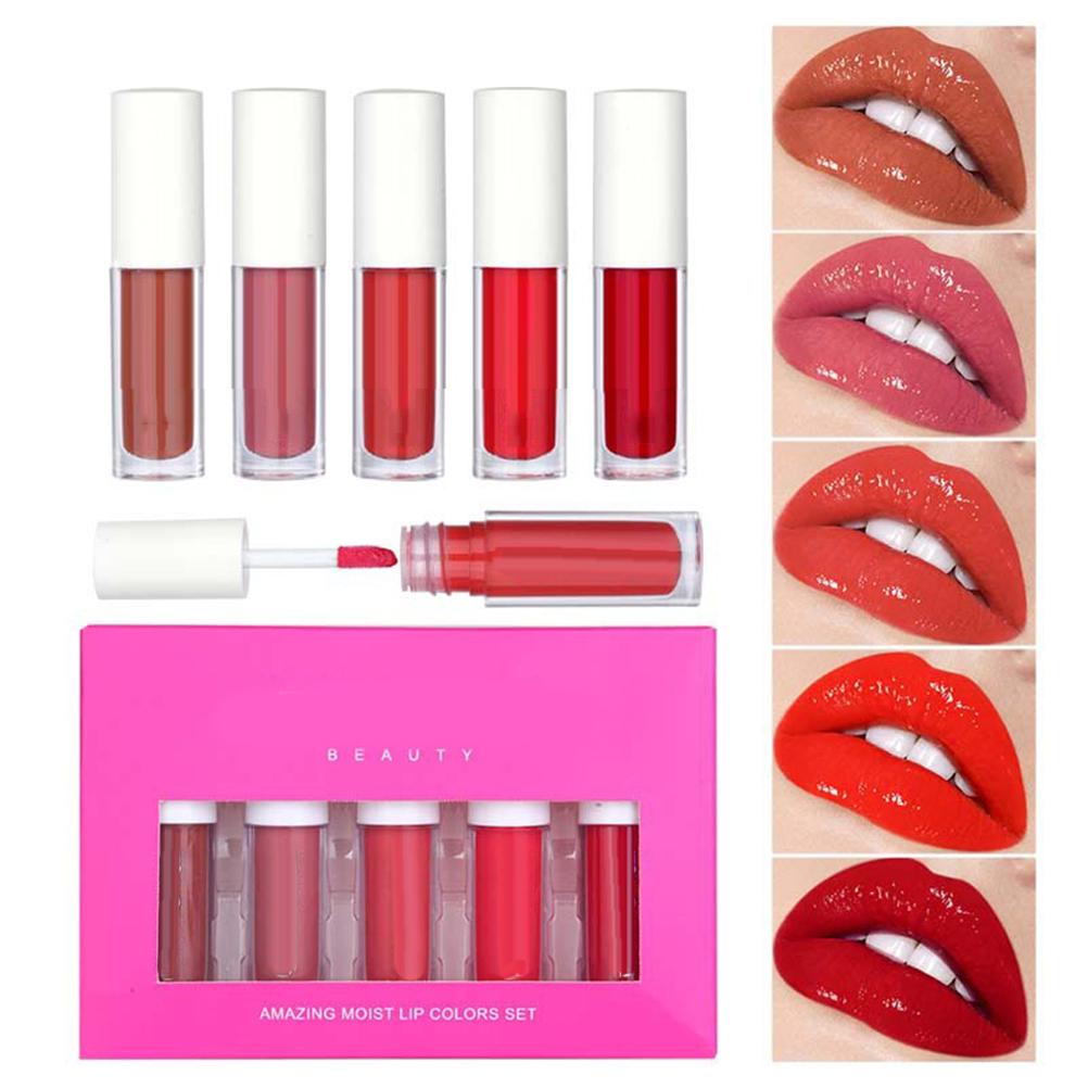 5 Color Liquid Lipstick Waterproof Moisturizing Long Lasting Lip Gloss Tint Matte Lipgloss