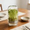 Mung Bean Sprouts Growing Jar Kit, for Gardeners Beginners Kitchen Countertop Windowsill Pantry Shelf Home Apartment Office
