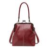 2025 Retro Crossbody Clip Bag: Versatile Women's Handbag & Phone Carrier for Stylish Commuting
