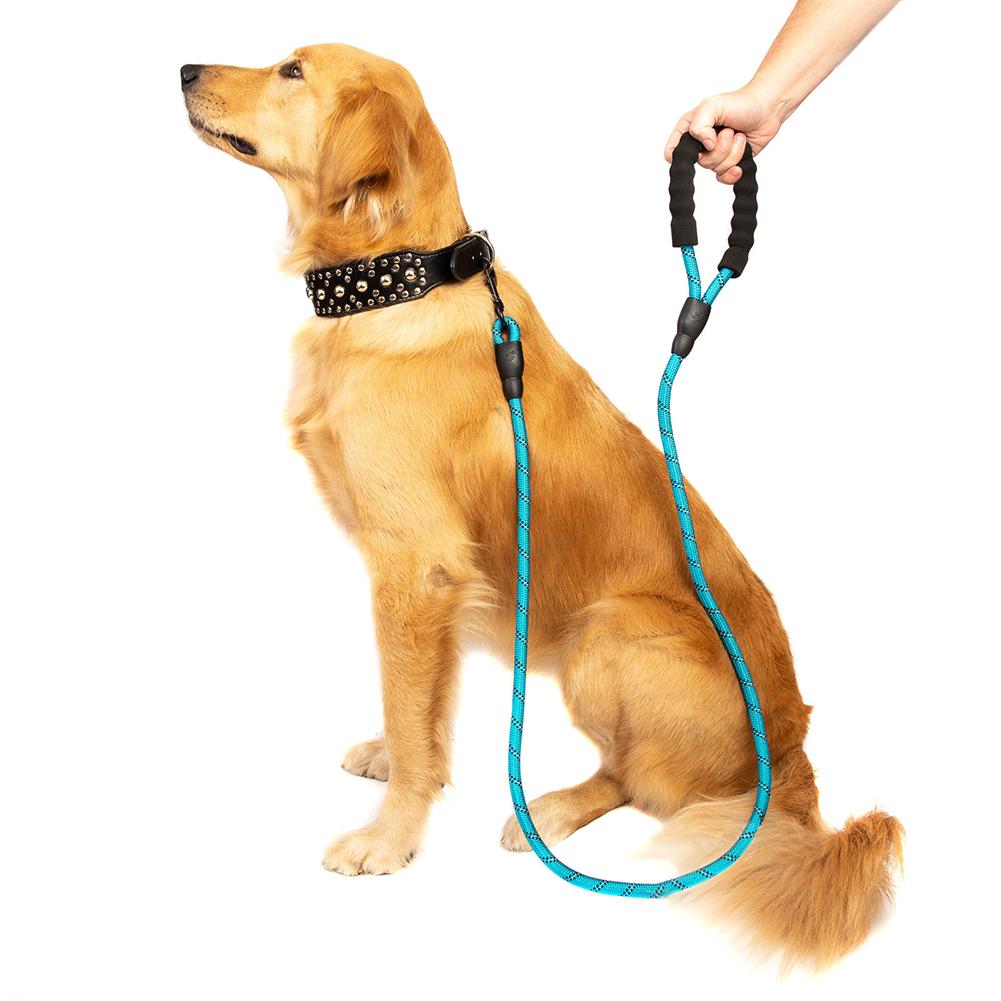 tracking leashes for dogs