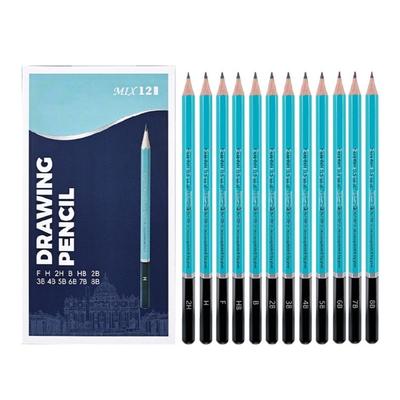 12Pieces Professional Art Pencil Ergonomic Hexagonal Grip Sketch Pencils For Artists Beginner Student Sketching Drawing