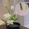 Round Ikebana Stem Holder Suction Cup Transparent Flower Arrangement Base Flower Fixing Bracket Vases Floral Fixed Base Holder Cup Holders 5