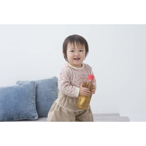 Richell Odekake Lunch-kun Straw Cap R for Bottles (1 Piece)