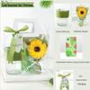 Huazao Baijia A1 Summer Cooling Gift Set