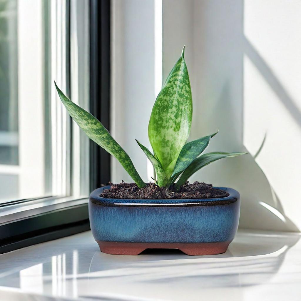Vaso da Fiore per Succulente in Ceramica Vaso da Fiore per Bonsai Cinese Con Fori Traspirante Gres Gres Vasi per Bonsai Decorazione Giardino Casa Esterno