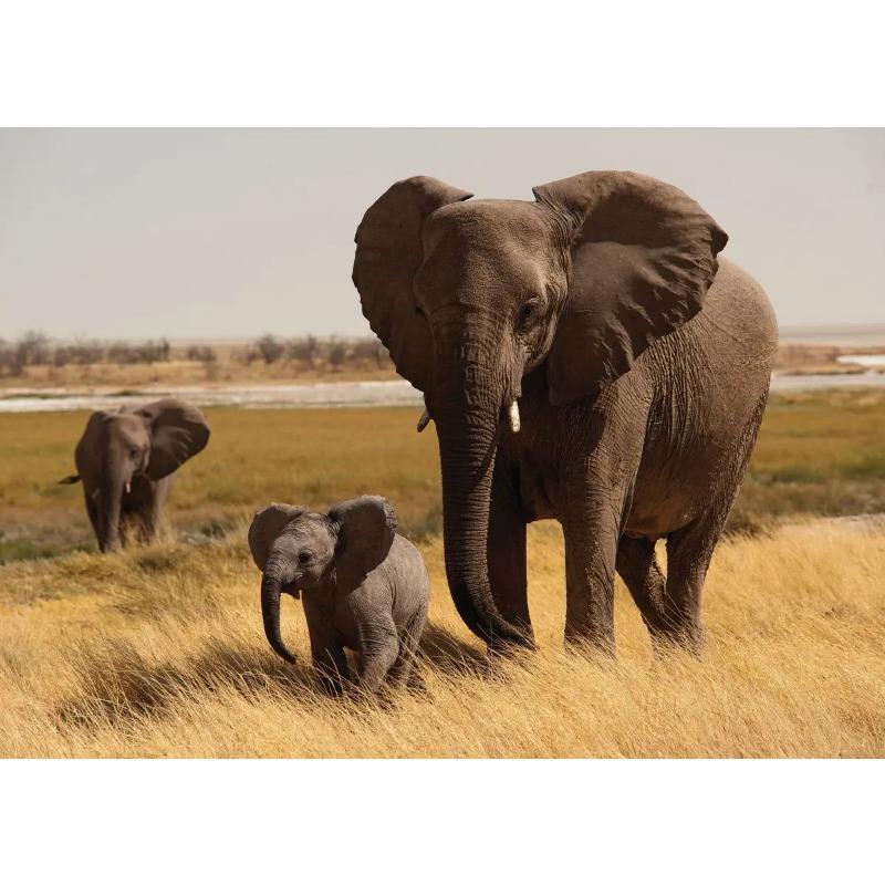 Elephant Baby Family Poster Print Modern Wildlife Animal Wall Art Canvas Painting Picture Nature Landscape for Living Roon Decor