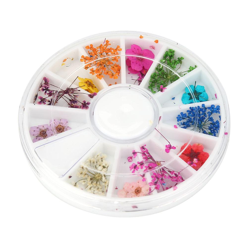 

12 типов красочных натуральных сушеных цветов, набор настоящих сухих цветов, украшение ногтей, маникюр, искусство