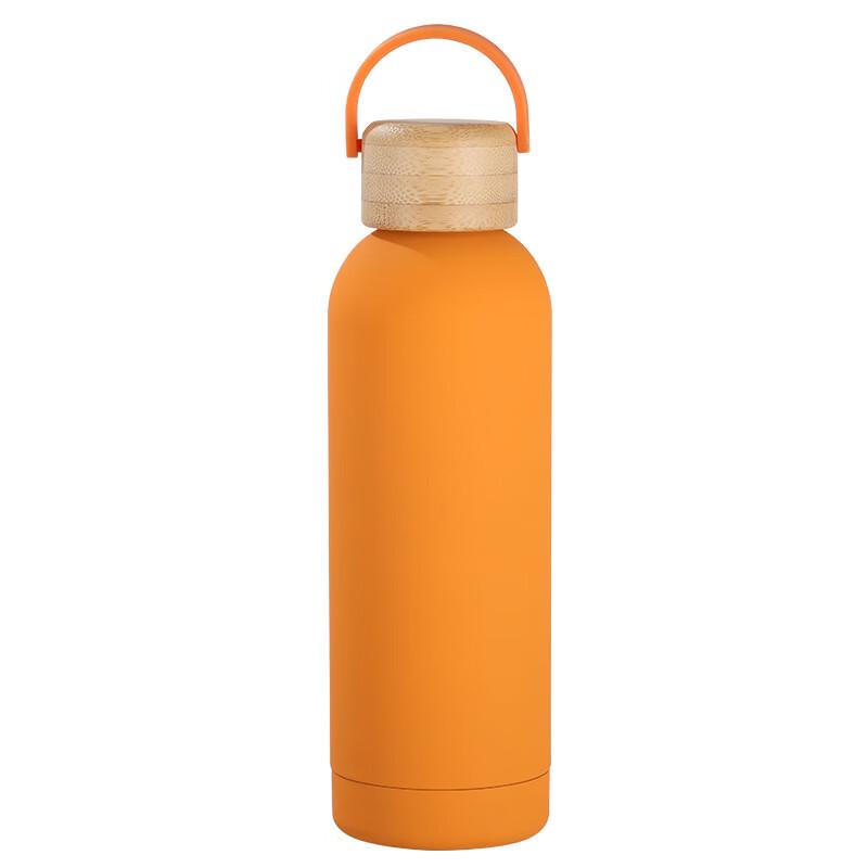 Portable Insulated Stainless Steel Water Bottle