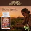 Herbal Extracts Supplement, With Lions Mane, Chaga, 120 Capsules Per Bottle