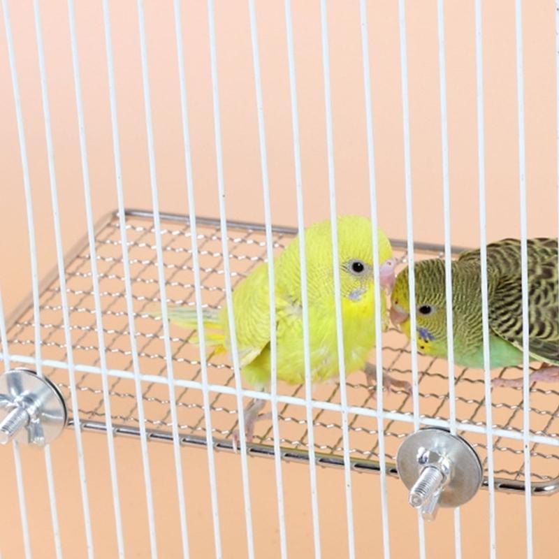  Easy Installation Stainless Steel Bird Perch Platform for Parrots and Other Bird