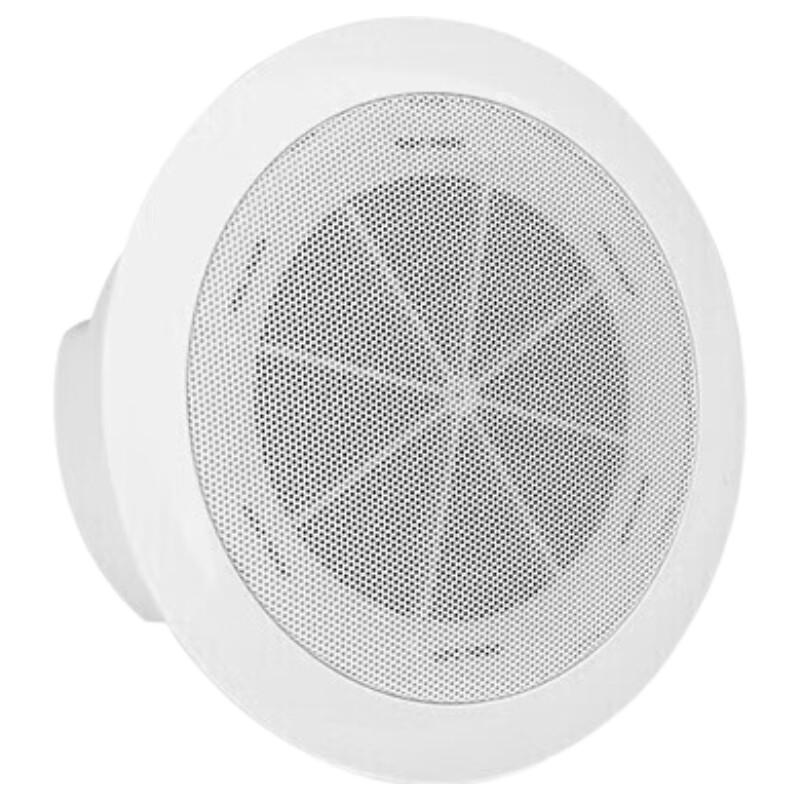 Newmine D7 Wireless FM Ceiling Speaker System (CN version)
