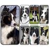 Border Collie Dog Case For Samsung Galaxy M13 M33 M53 M20 M30s M31s M12 M32 M52 M11 M21 M51 M14 M34 M54 M55