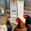 Chicken Oyster Shell Grit Feeder 3D Printed Dual-Purpose Hanging Chicken Feeder Trough Precision Nutrition Gravities Poultry Feeder Coop Accessories