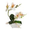 Butterfly Orchid Flower Home Office Decor with Flowerpot