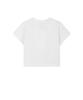 Mattengkim Matin Kim Logo Crop Top In White