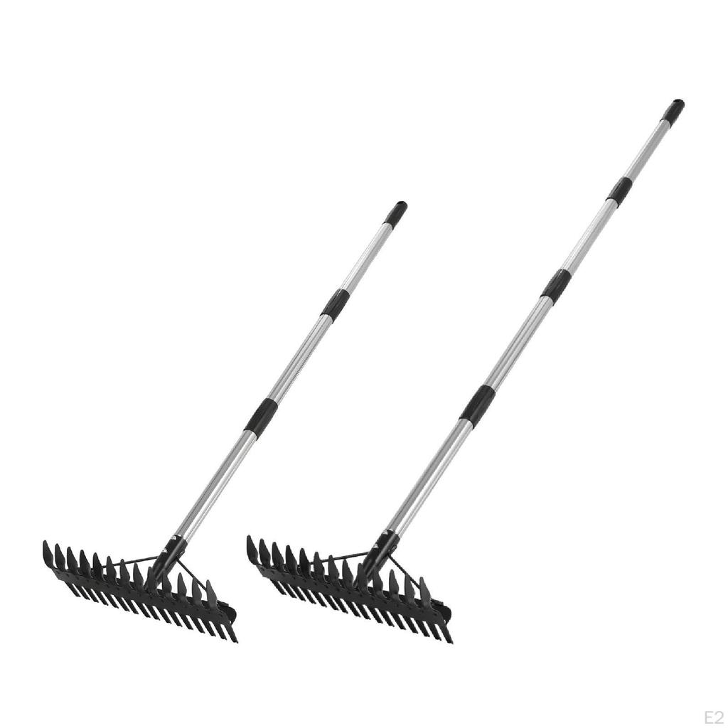 Lawn Thatching Rake Grass Cleaning Tool Fallen Leave, Detachable Handle Hay for