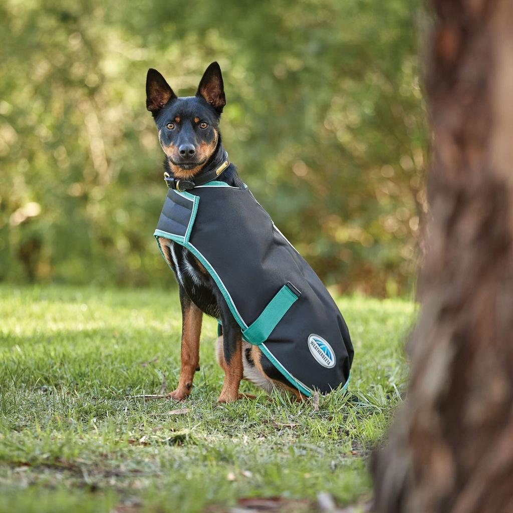 Weatherbeeta Green-Tec Plus Lightweight Dog Coat